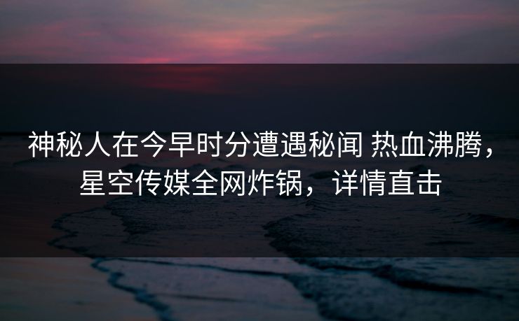 神秘人在今早时分遭遇秘闻 热血沸腾，星空传媒全网炸锅，详情直击