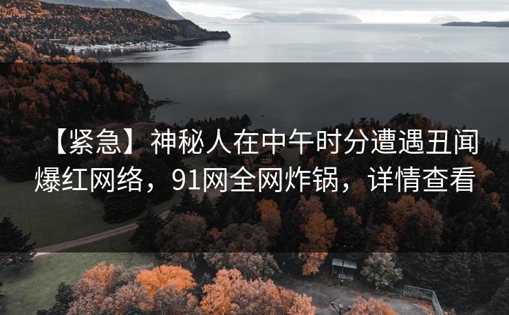 【紧急】神秘人在中午时分遭遇丑闻 爆红网络,91网全网炸锅,详情查看